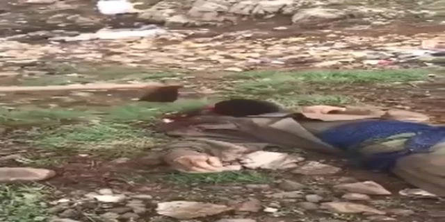 Beheading A Man With A Hoe