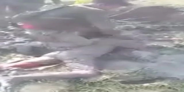 Dude Grabbed The Blade While His Throat Is Being Cut