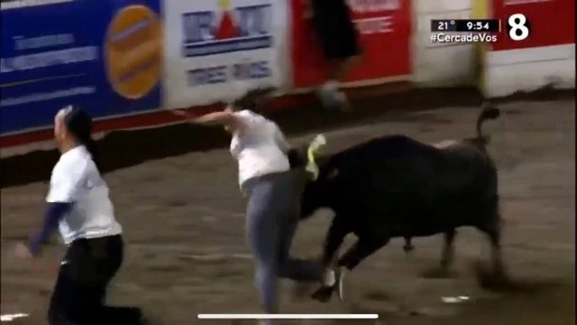 Probably In Costa Rica. Woman Gets A Massive Public Wedgie From A Bull