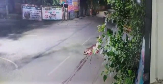 Curry Muncher Splattered Into Pieces By Truck